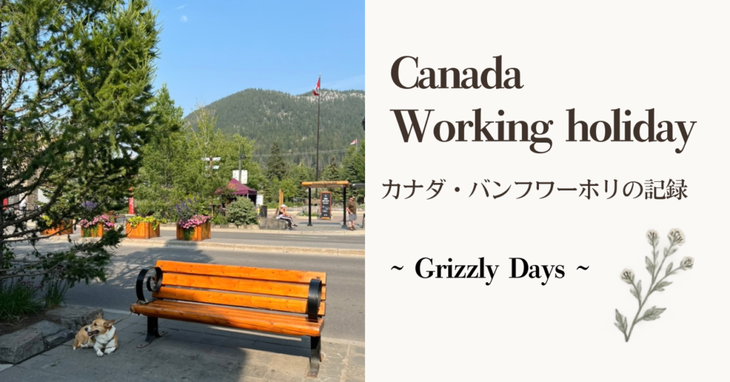 Canada working holiday